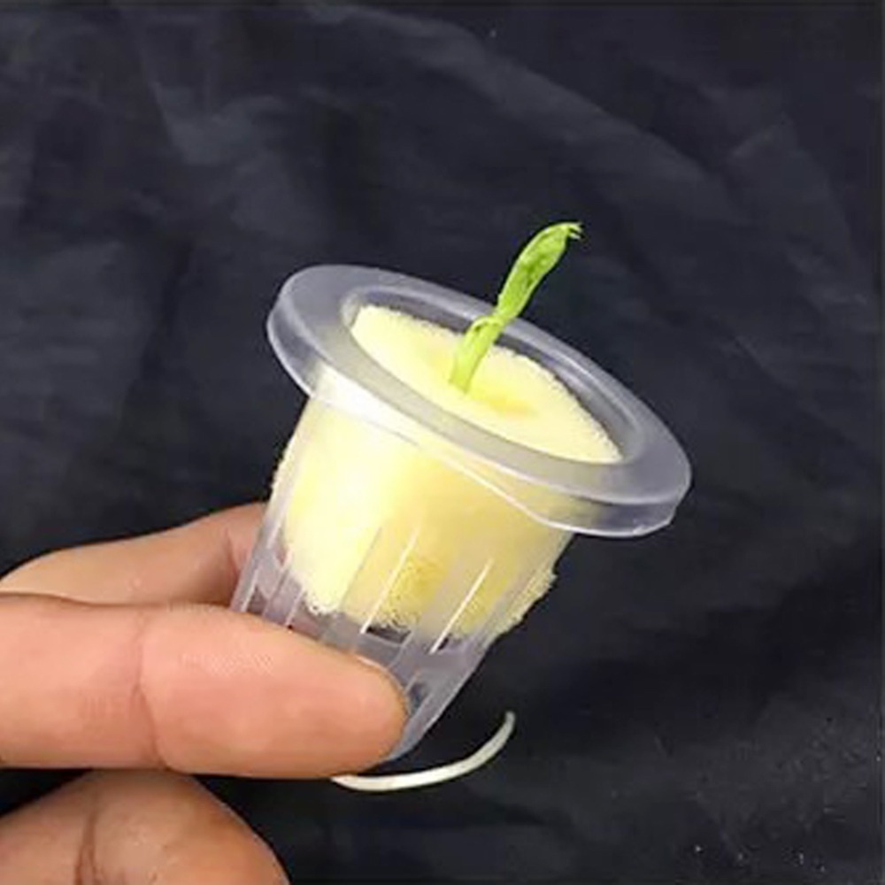 10 個水耕栽培メッシュカップガーデンエアロポニック野菜苗ポ - Net Pot 3 Inch のレビューと価格
