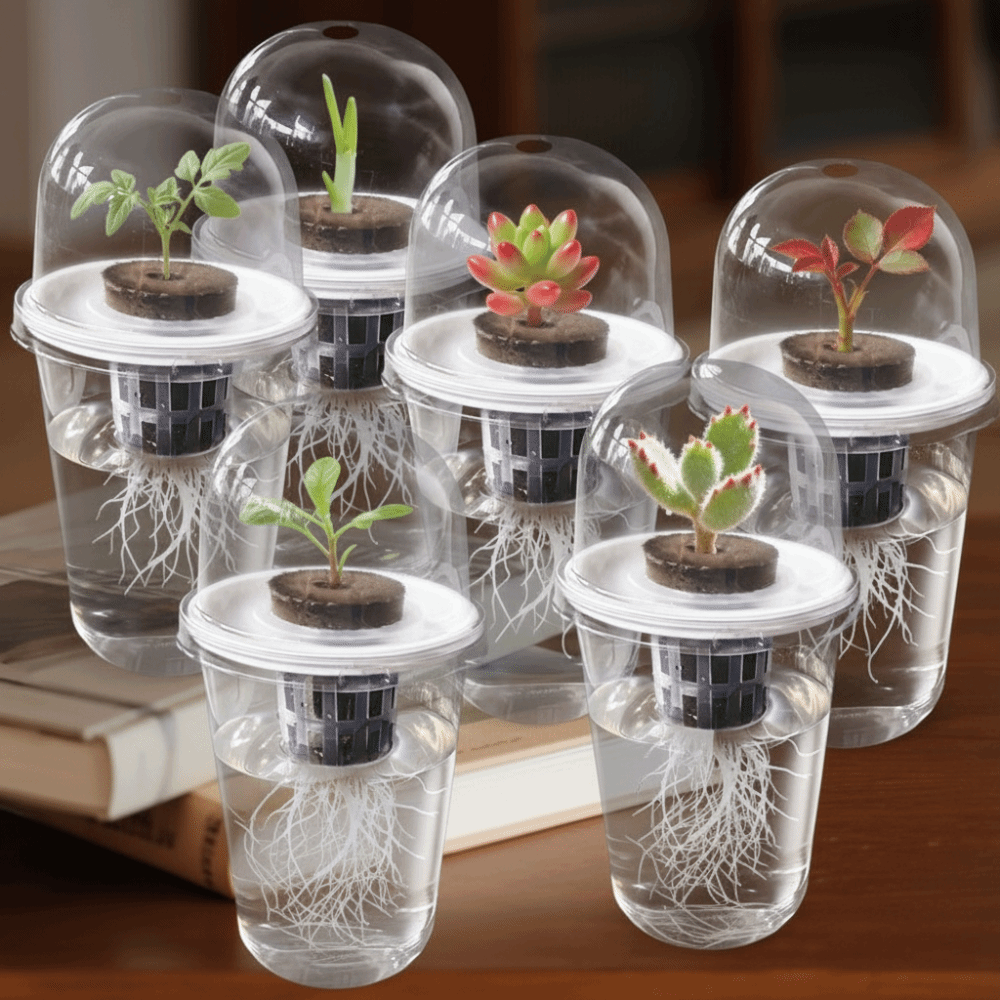 1～5個入り 透明な植物発芽カップ 水耕栽培種子プランターポ - Net Pot 3 Inch のレビューと価格