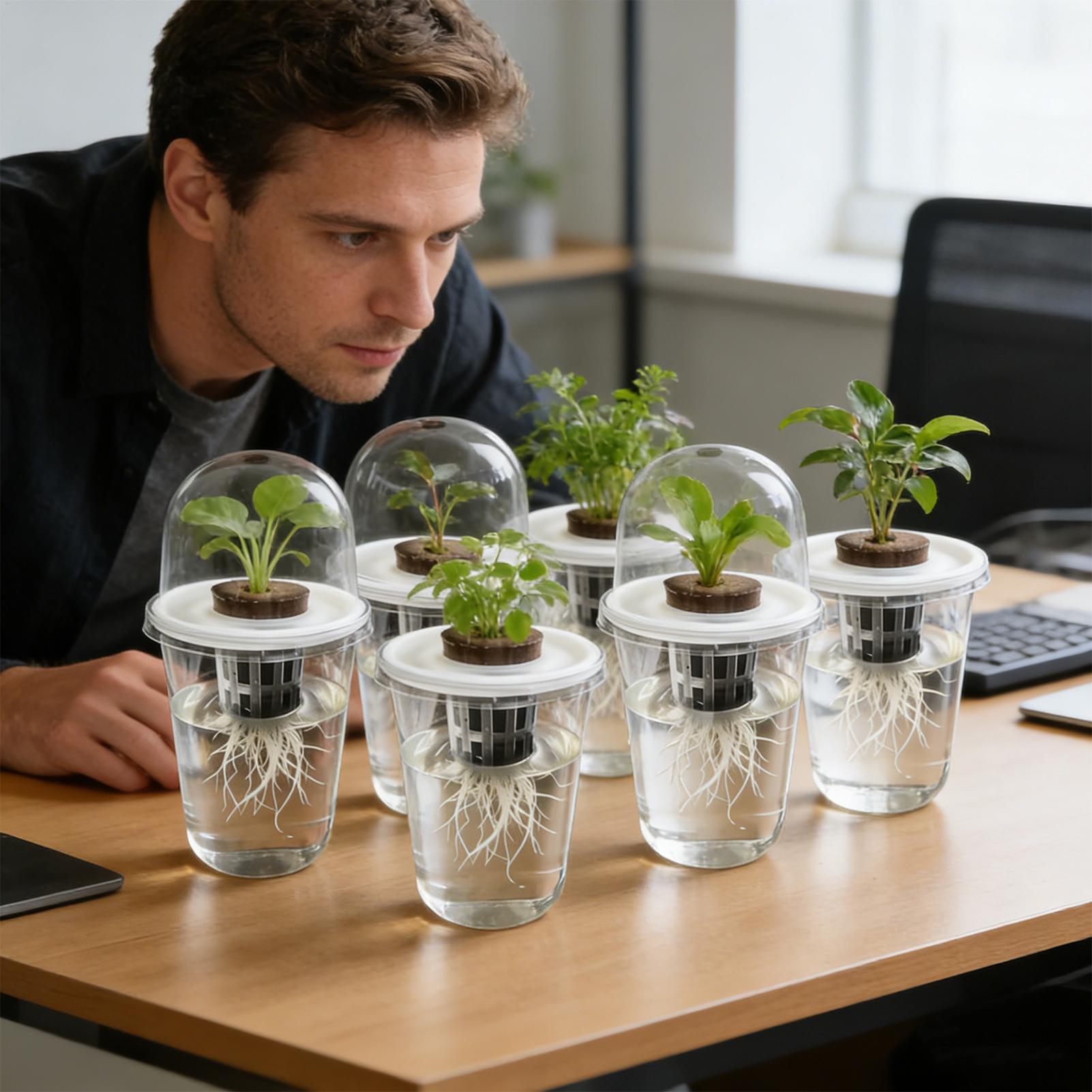 1～5個入り 透明な植物発芽カップ 水耕栽培種子プランターポ - Net Pot 3 Inch のレビューと価格