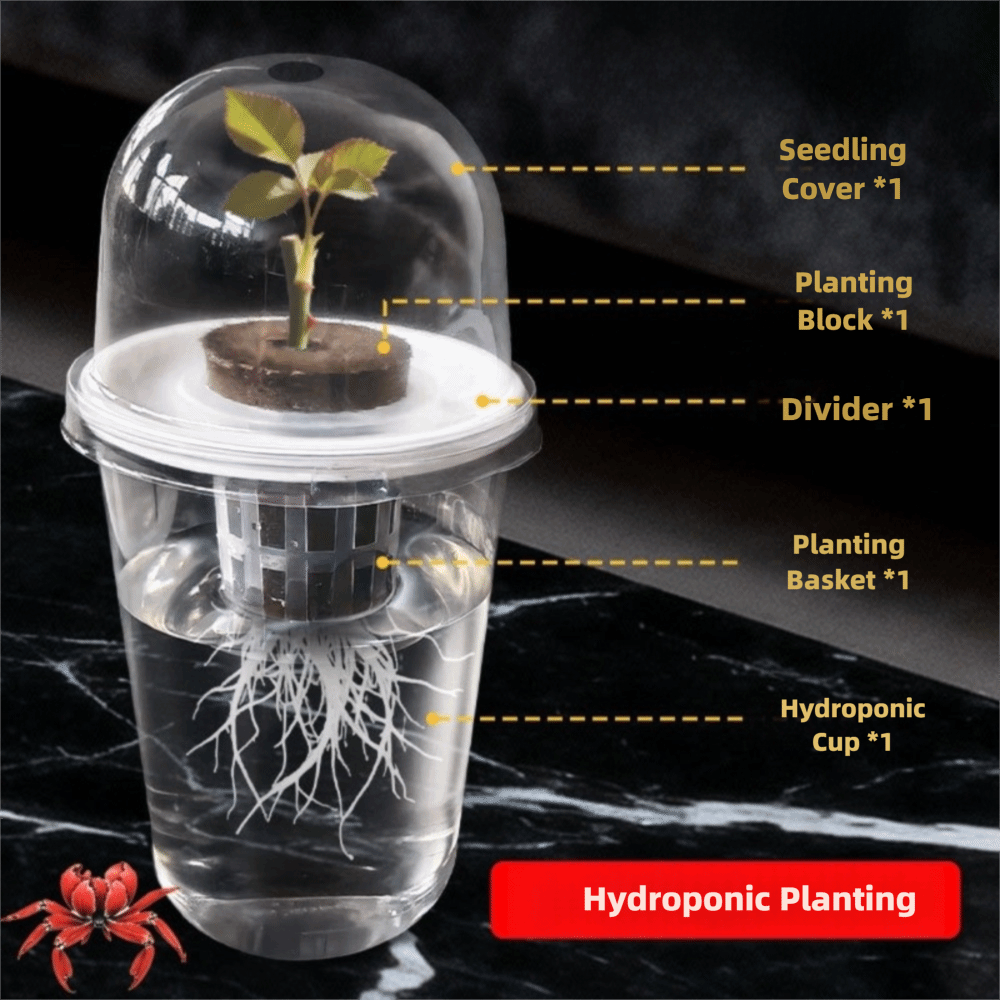 1～5個入り 透明な植物発芽カップ 水耕栽培種子プランターポ - Net Pot 3 Inch のレビューと価格
