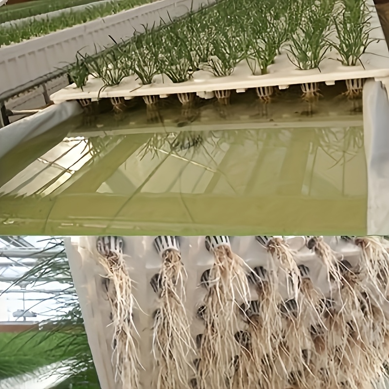 水耕栽培苗バスケットセット 10個入り (植え付けバスケット - Net Pot 3 Inch のレビューと価格